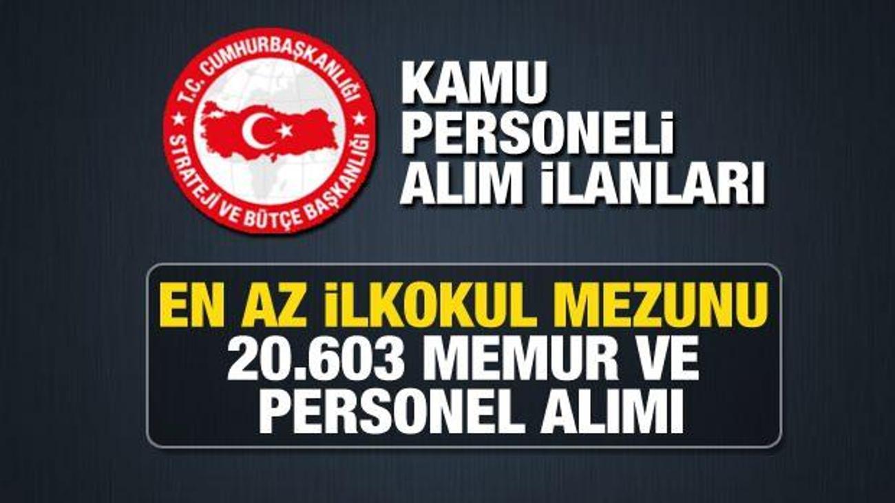 Kamuya En Az Ilkokul Mezunu 20 603 Personel Ve Memur Alimi Guncel Kamu 2021 Ilanlari Memur Haberleri