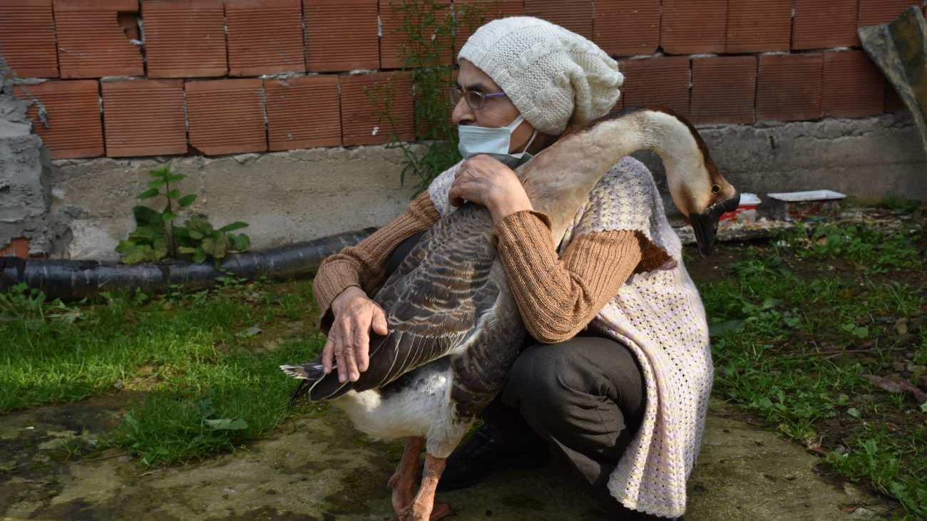 kirli_ile_sahibinin_kurdugu_bag_sasirtiyor_1634461297_8779.jpg