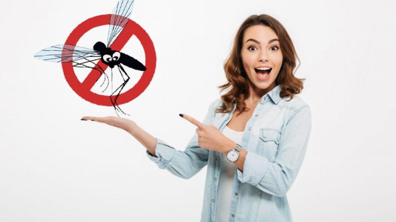 Sineklerin eve girmemesi için ne yapılır? Sinek kovucu