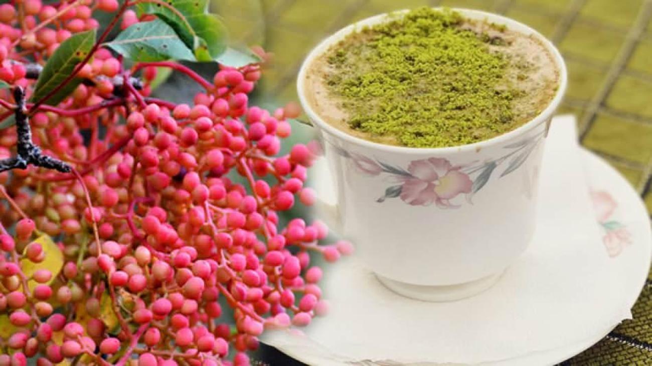 Menengiç (Çitlembik) tohumunun faydaları nelerdir? Menengiç kahvesi ne