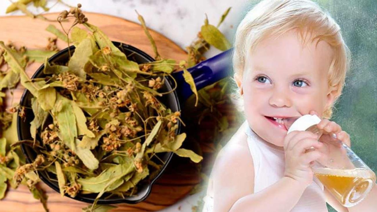 Bebeklere ıhlamur verilir mi? Ihlamur bebeklerde alerji