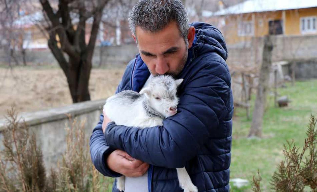 Gazeteciler annesini ayı tarafından yenen bir keçi yavrusunun hayatını kurtardı