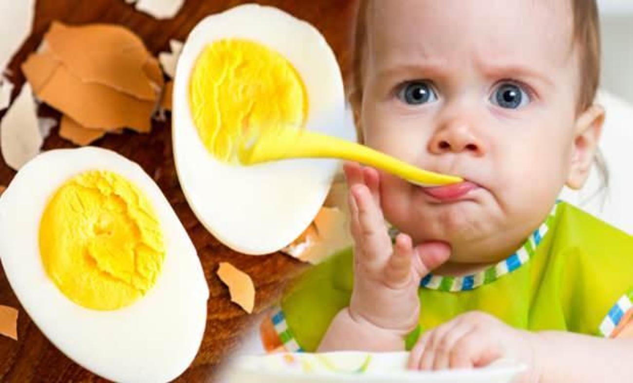 mineral isim verimli yumurta bebeklere ne zaman verilir ochjo com