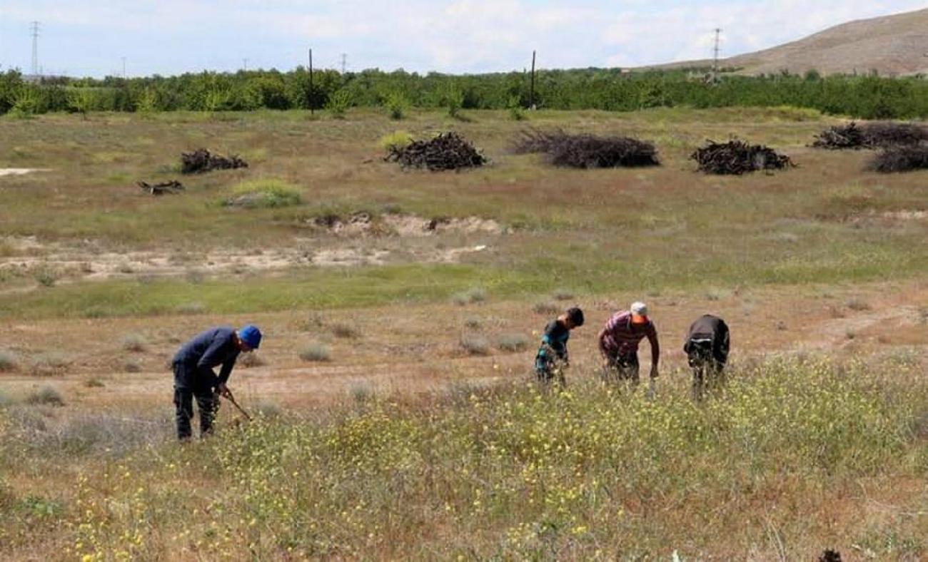 Bir aydır dağlık arazide altın arar gibi arıyorlar