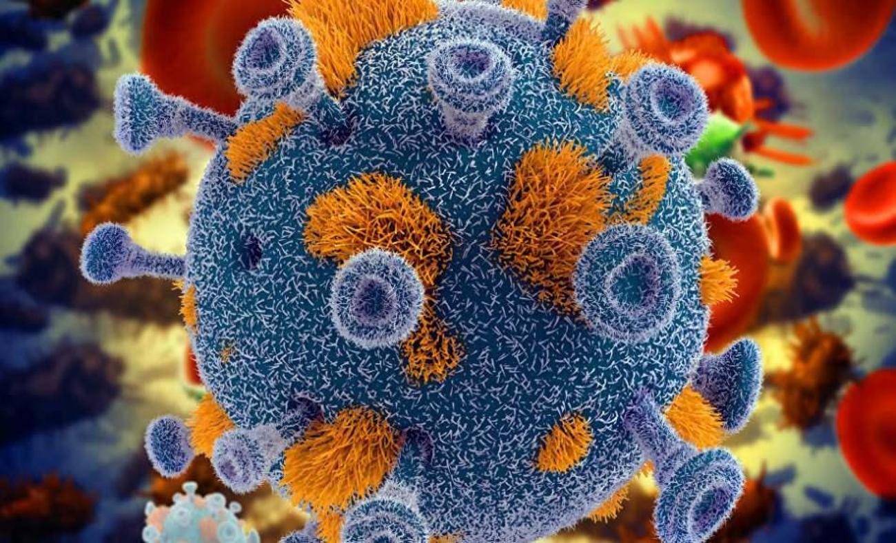 Çin'de öldüren yeni virüs! Bunyavirüs nedir ve belirtileri nelerdir? Bunyavirüsü nasıl bulaşır?