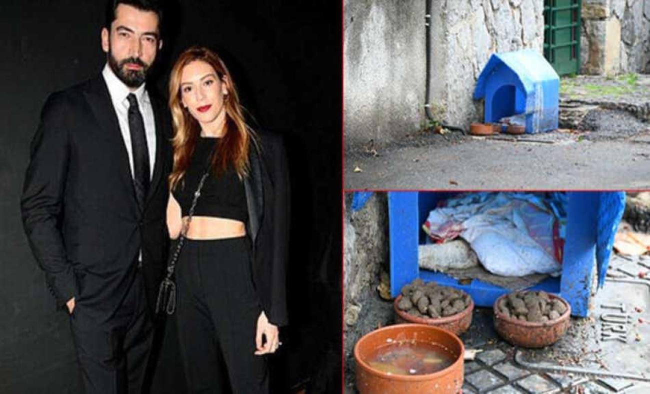 Kenan İmirzalioğlu - Sinem Kobal çiftinden sokak hayvanları için örnek davranış!
