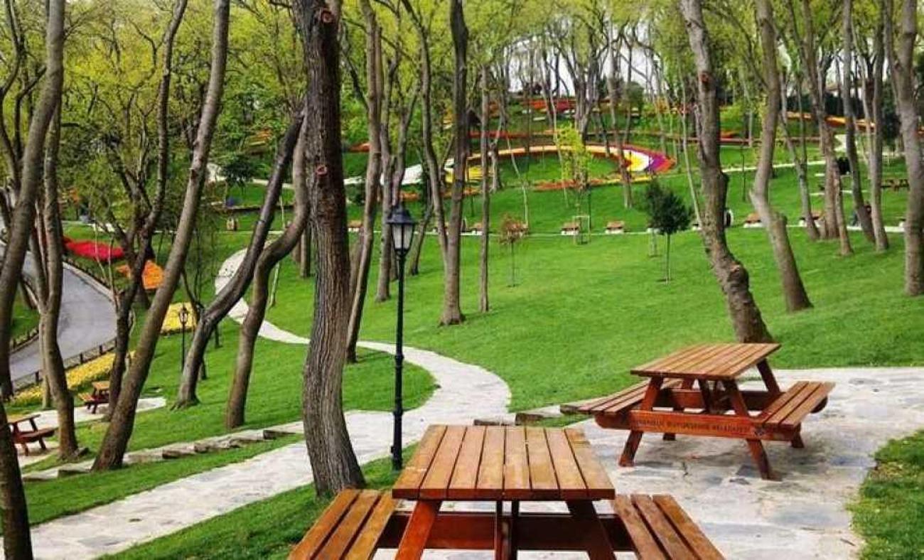İstanbul'da piknik yapmak yasak mı? Piknik alanlarında mangal yapmak yasak mı?