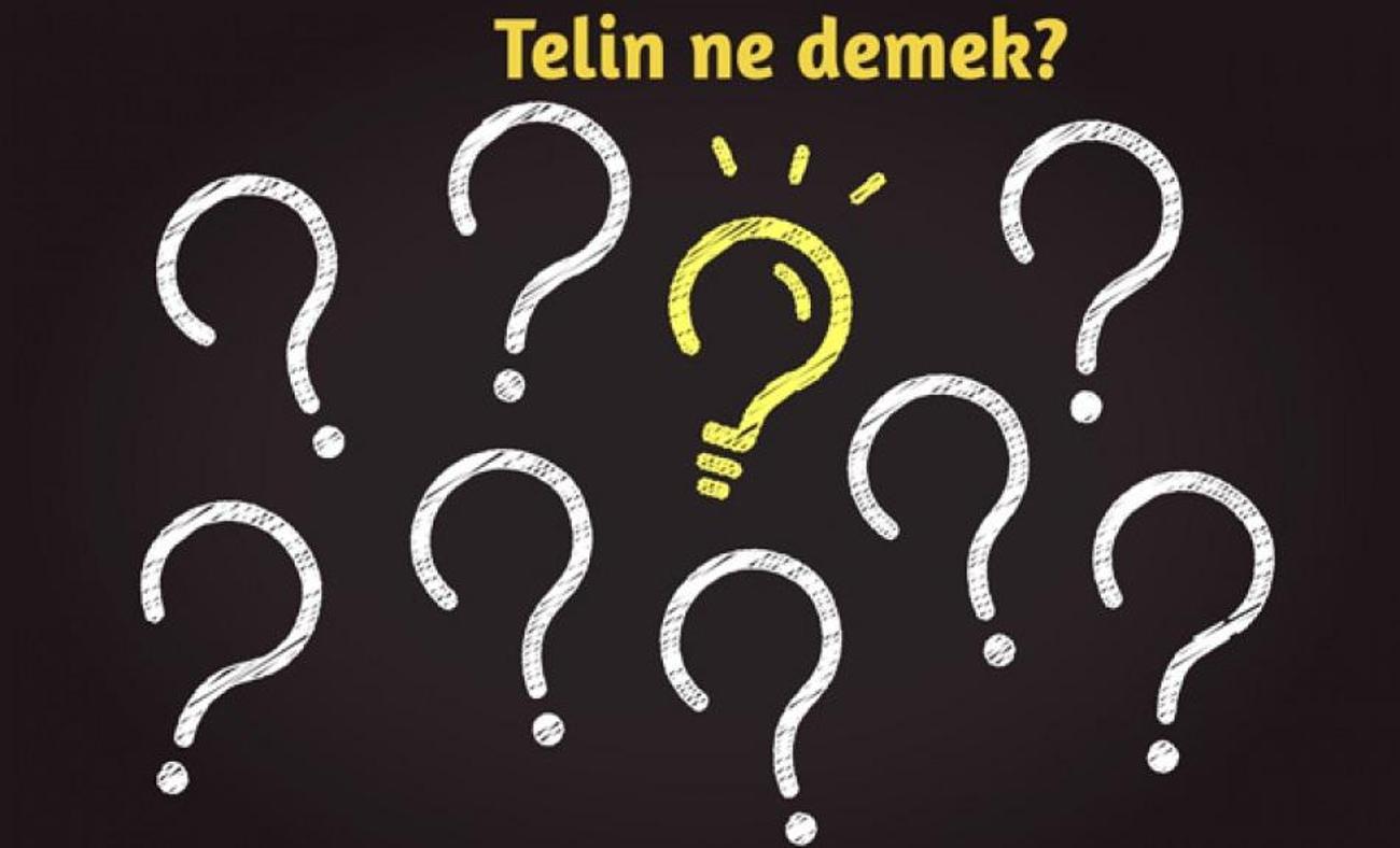 Telin etmek ne anlama geliyor? Telin ne demek, nedir?