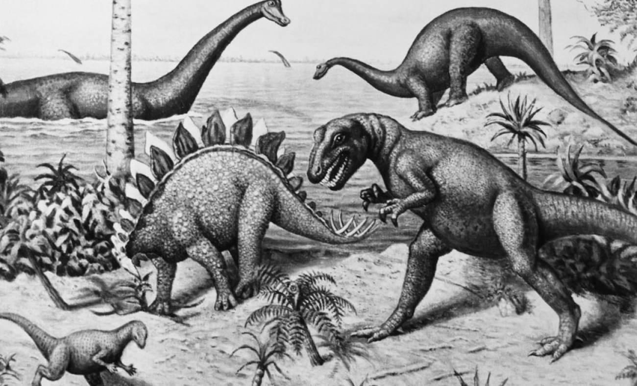 En az 66 milyon yaşında çok iyi korunmuş dinozor embriyosu bulundu!