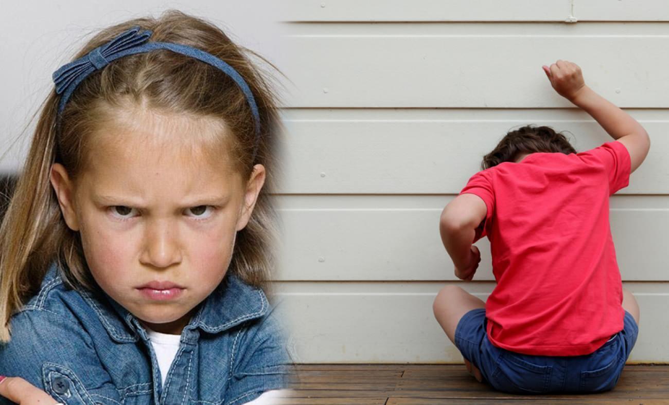 Çocuklardaki öfke problemiyle nasıl başa çıkılır? Çocuklarda öfke ve saldırganlığın sebebi 