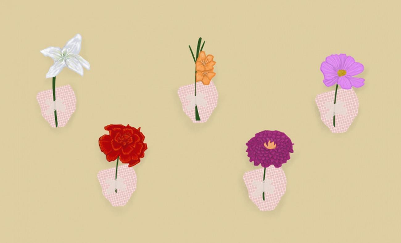 Ağustos ayı çiçekleri nelerdir? Yaz mevsimi ev dekorasyonunda çiçek kullanımı
