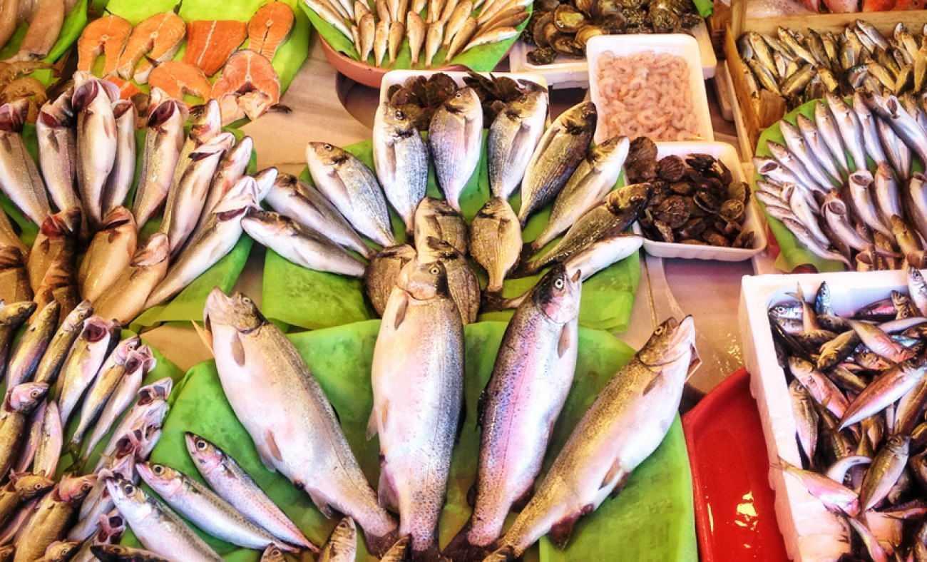 İstanbul'da balık nereden alınır? İstanbul'da taze ve ekonomik balığın satış noktaları