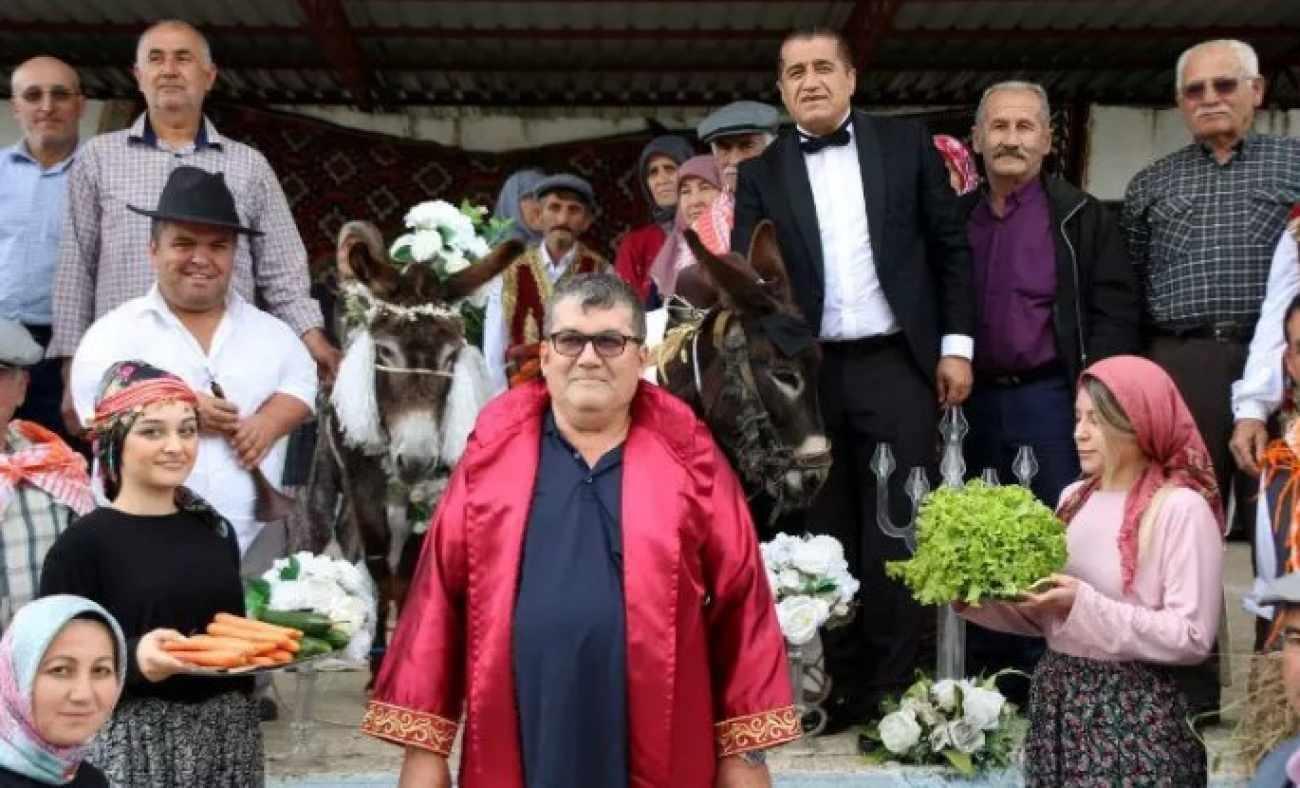 Antalya'da akıllara durgunluk veren düğün! İki eşeği evlendirip balayına gönderdiler