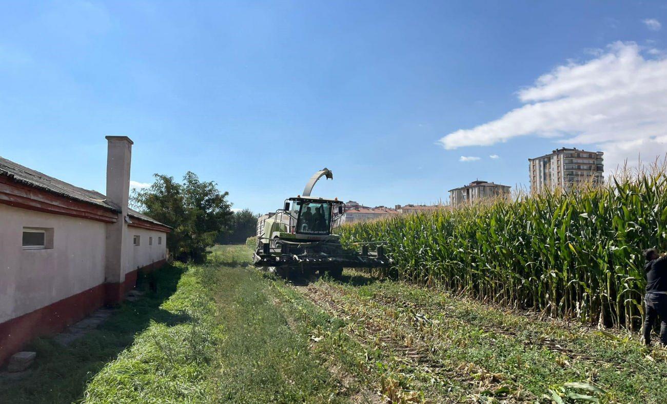 Yerli ve milli 10 patates çeşidi için program tamamlandı!