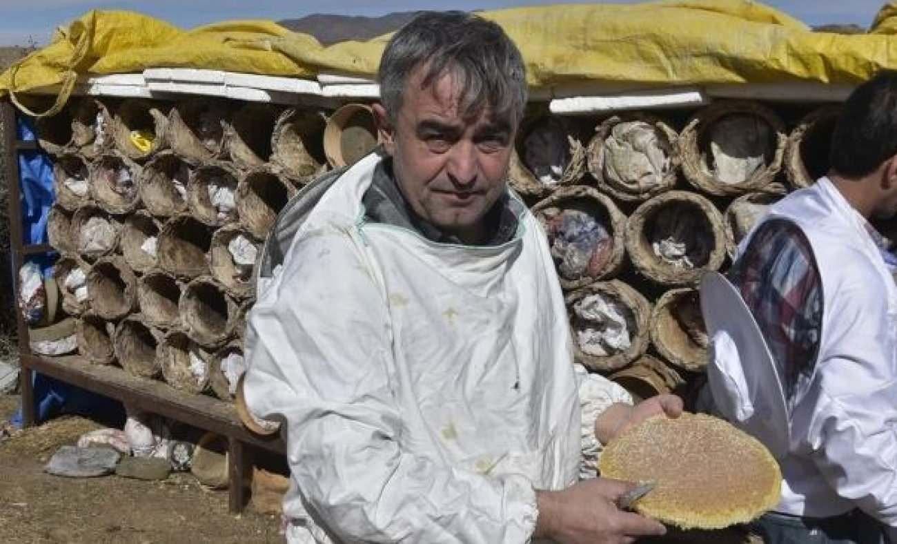 Dünya çapında altın bal ödülü aldı! Bitlis'in karakovan balı bu yılda rekor kırıyor