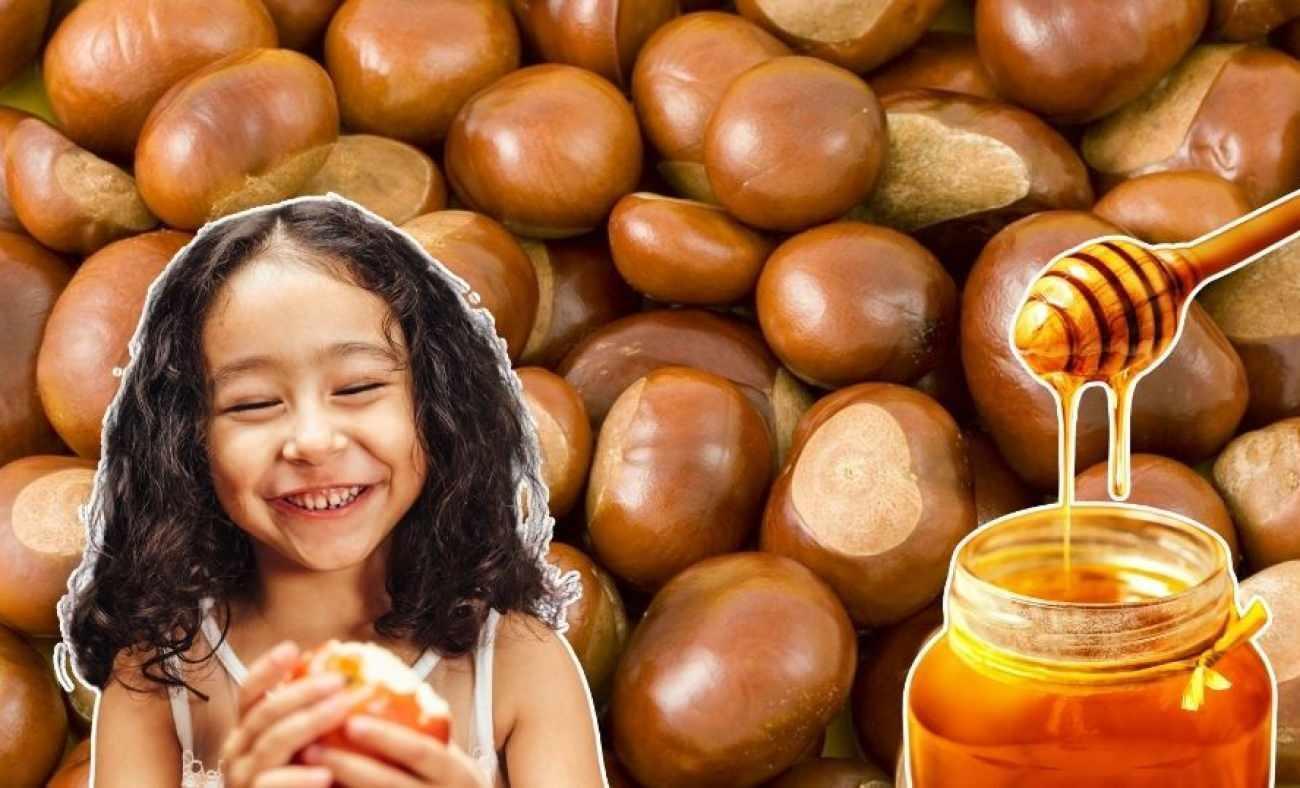 cocuklarin istahini artiriyor kestanenin kendisi kadar kabugu da cok faydali 1731593041 583