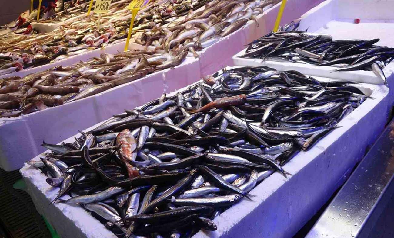 Balık sezonunda son durum: Güncel balık fiyatları