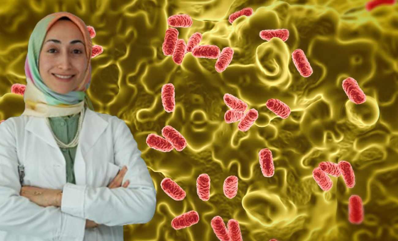 Yaz aylarında gıda zehirlenmelerine dikkat: Salmonella sessizce yayılıyor