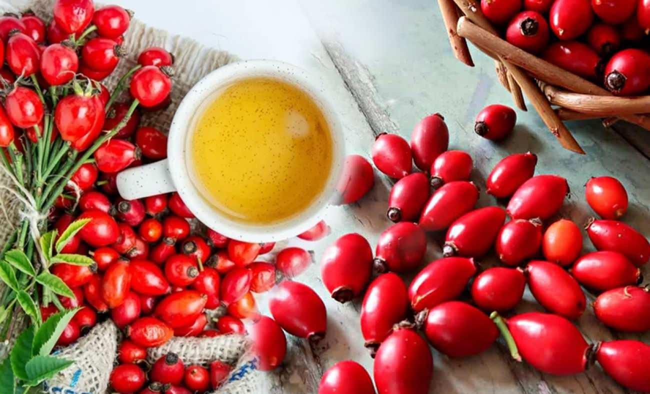 Limondan 60 kat daha güçlü: Kuşburnu kalbi bağışıklığı ve sindirimi zırh gibi koruyor!