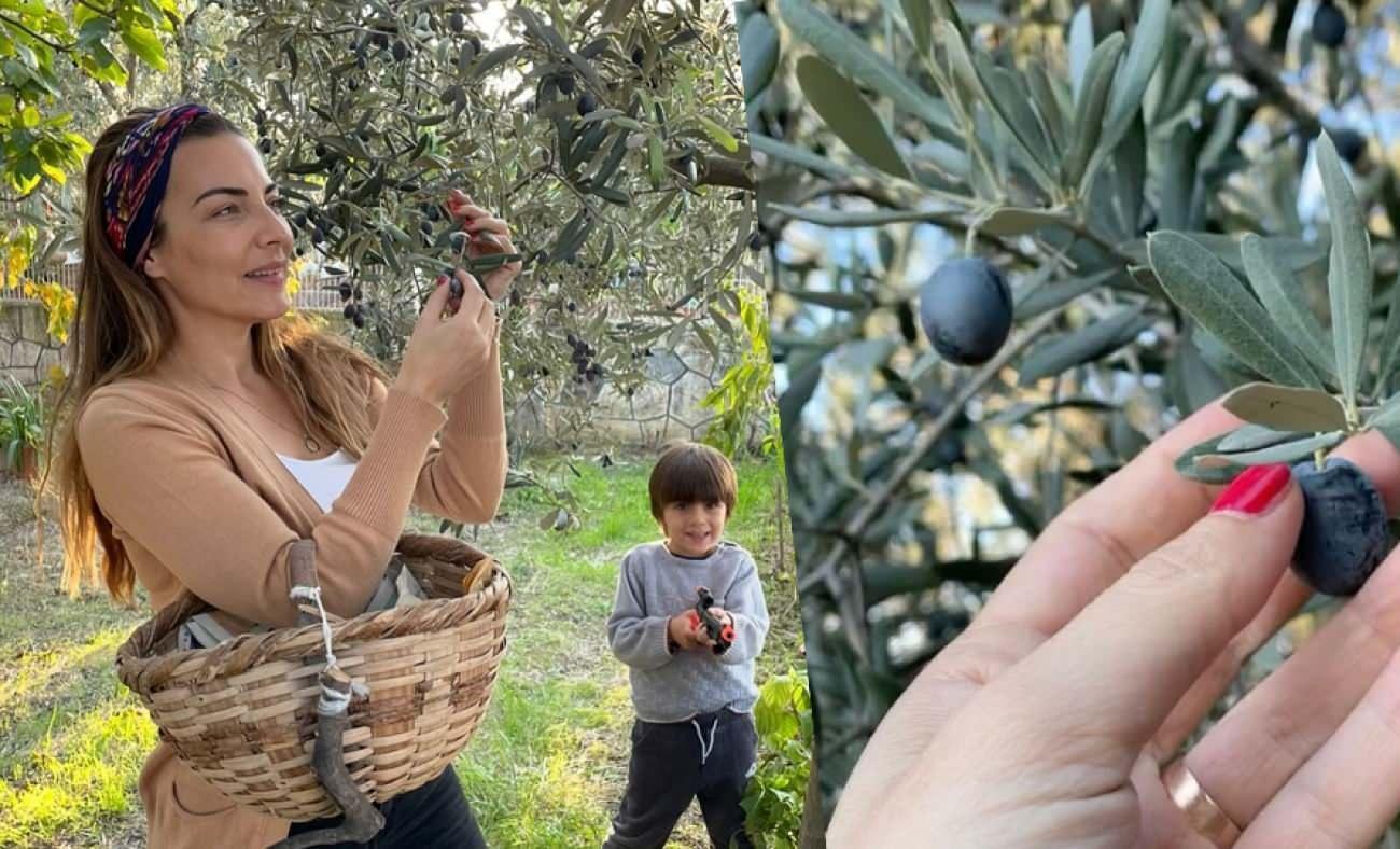 Burcu Kara, şehri terk etti: İznik'te zeytinlik kurdu! Satın aldığı çiftlik tanıdık çıktı