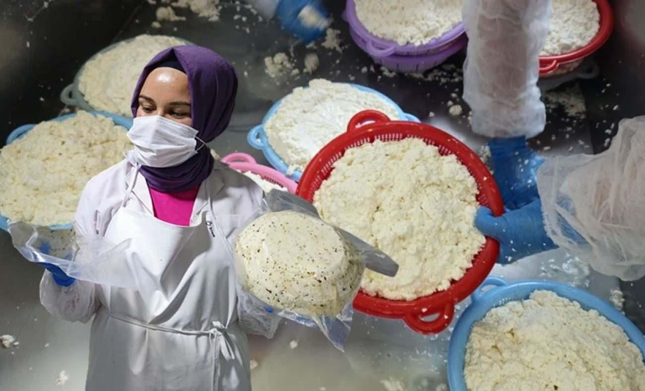 Sındırgı’da kadın emeğiyle doğal üretim: “50 Peynirli Şehrim”