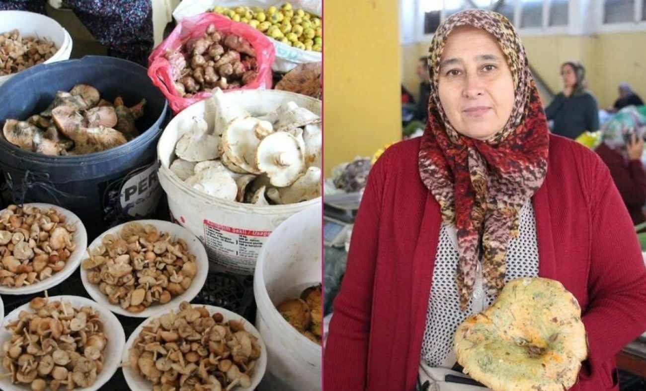 Ormandan kova kova topladı, geçim kaynağı oldu: Kilosu 400 liradan satılıyor!