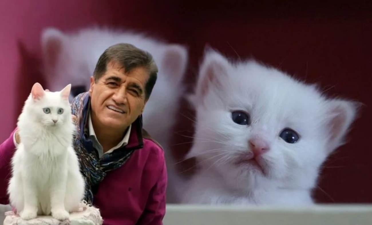 Aydın Aydın’dan Van kedisiyle unutulmaz düet!