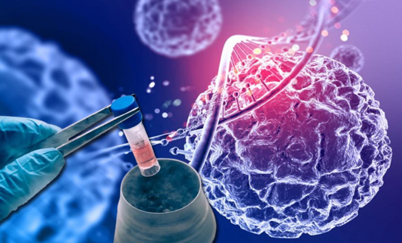 Medipol Mega Üniversite Hastanesi'nde kök hücre bağışı paneli: 'Hayat Seninle Güzel'