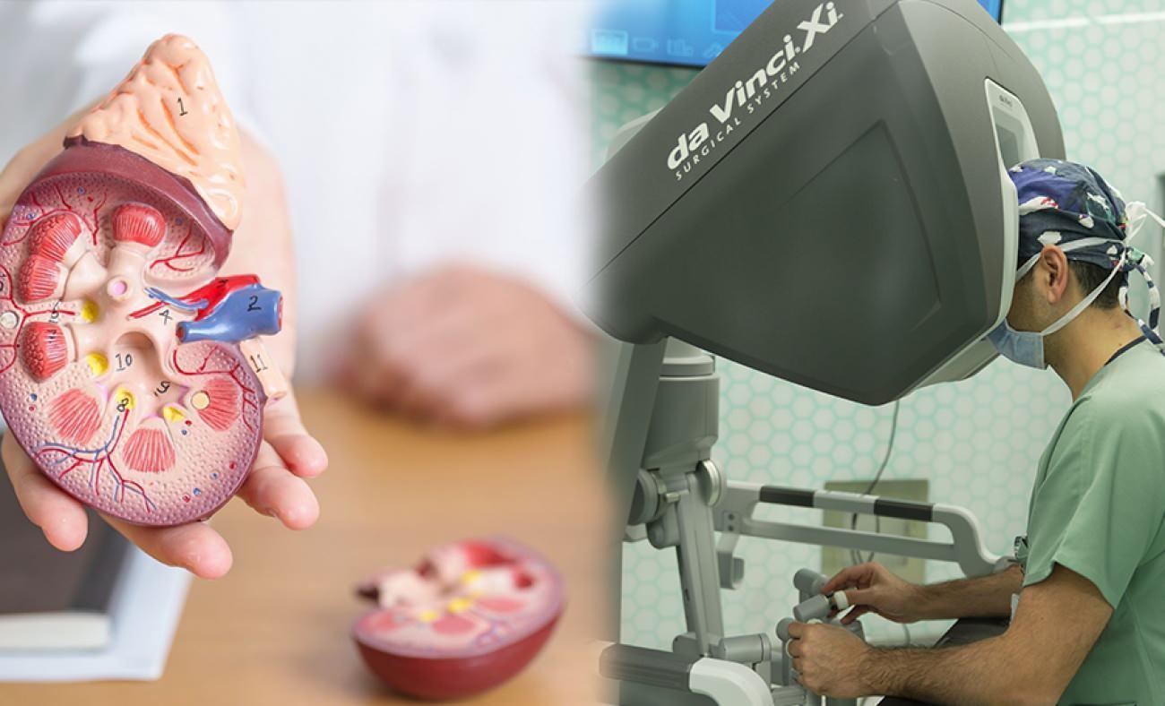 Hormon dengesini bozan kitlelere 'Robotik Çözüm!' Uzman isim tek tek anlattı