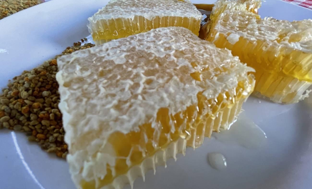 Karabük'ün meşhur lezzeti Yenice ıhlamur balı AB'den coğrafi işaret tescili aldı!