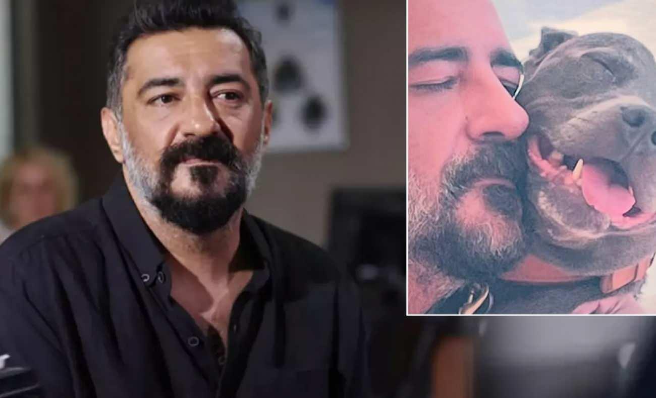 Celil Nal&ccedil;akan 12 yıllık can dostu Robin'i kaybetti: &Uuml;ş&uuml;mezsin değil mi?