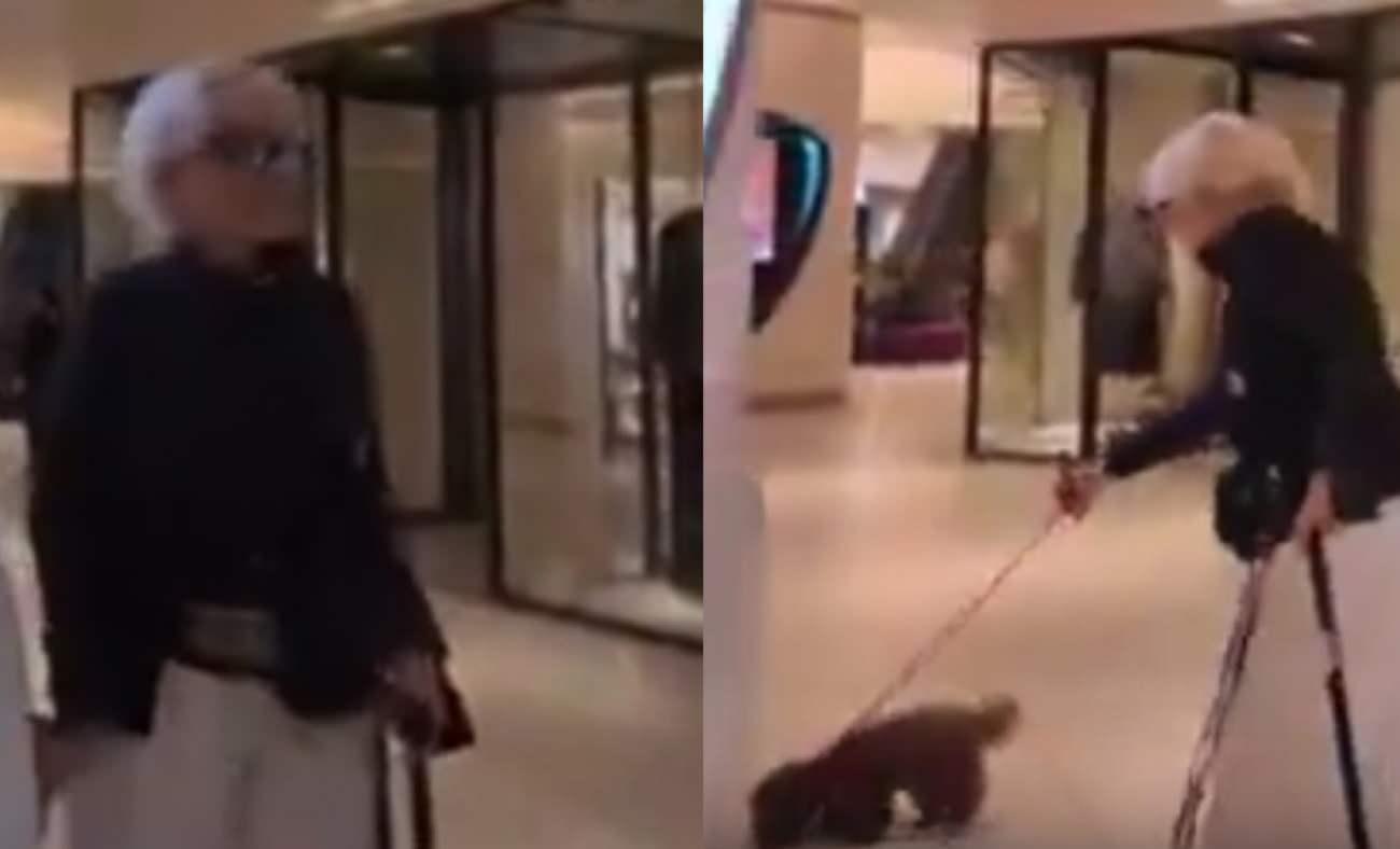 Semiramis Pekkan'ın k&ouml;peğiyle AVM'deki g&ouml;r&uuml;nt&uuml;leri olay oldu