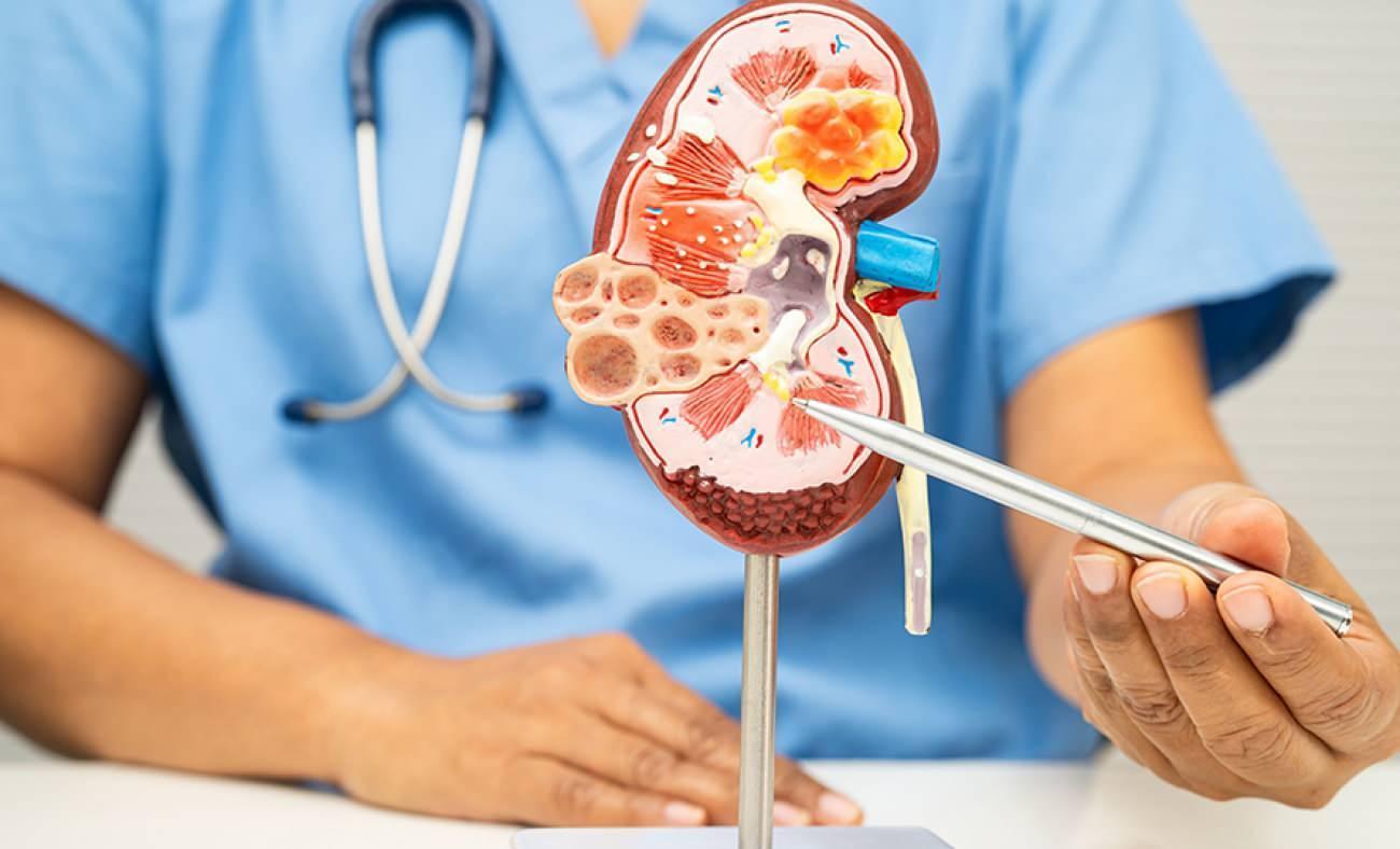 12 Mart D&uuml;nya B&ouml;brek G&uuml;n&uuml;&rsquo;nde uzmandan alarm: &Ccedil;ocuklarda b&ouml;brek hastalığının ilk sinyali ateş