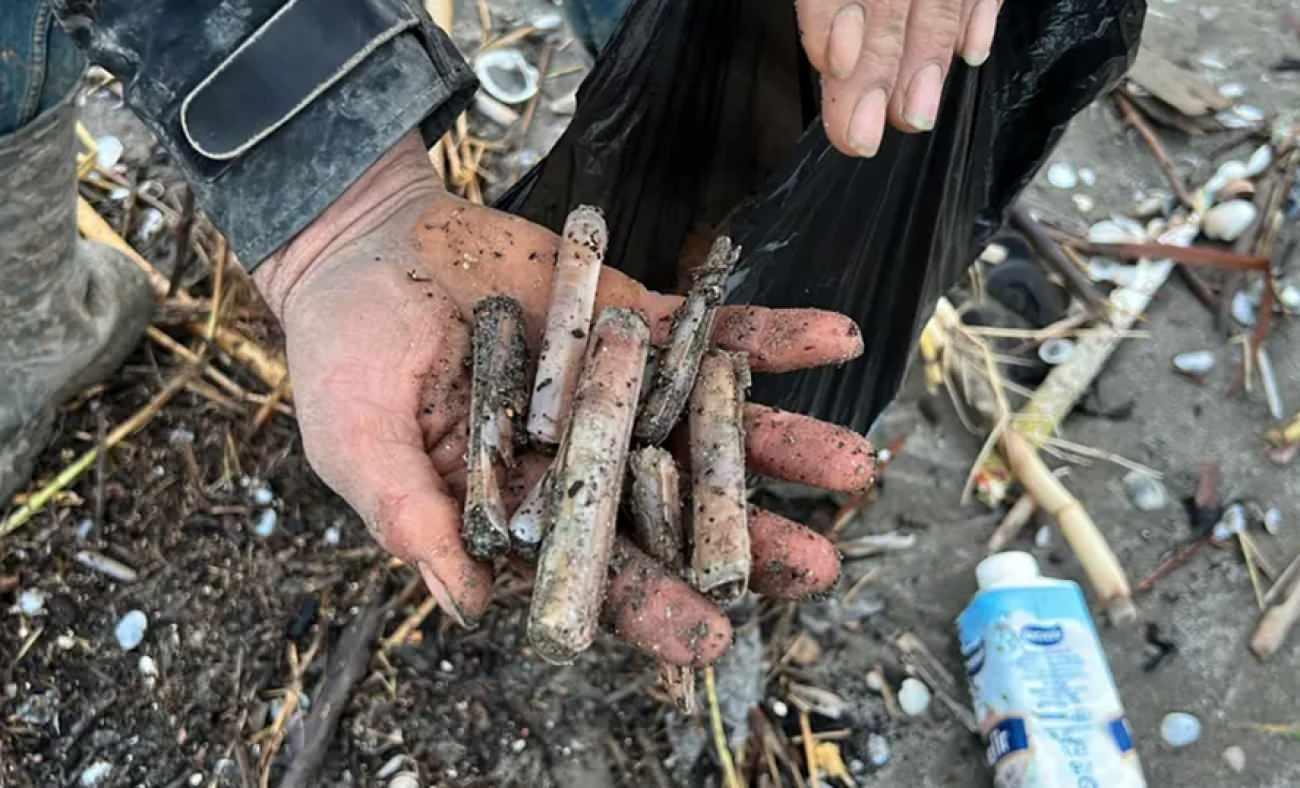 Ege&rsquo;nin gizli hazinesi! Japonların radarına girdi sofraların baş tacı oldu