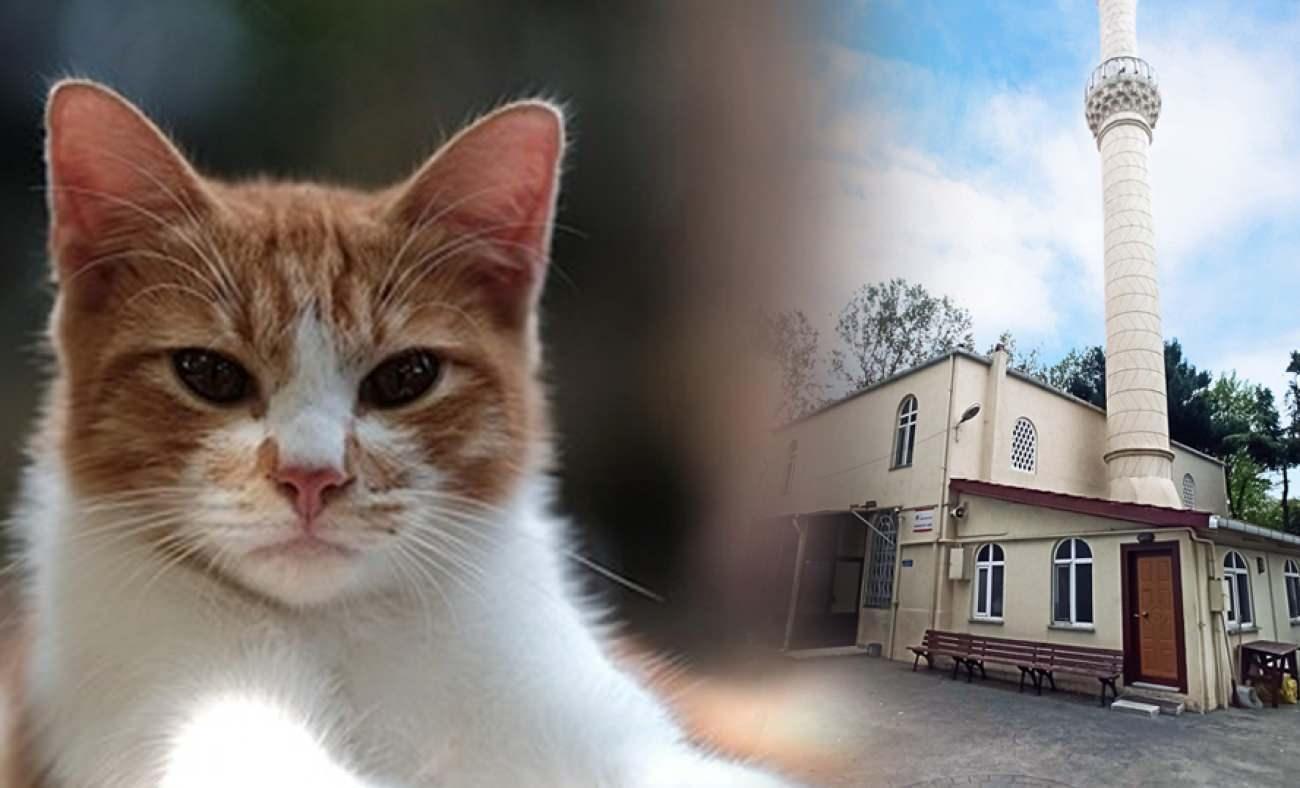 B&ouml;ylesi g&ouml;r&uuml;lmedi: &Ouml;nce patisiyle kapıyı a&ccedil;tı sonra yaptığı hareketle herkesi şaşırttı!