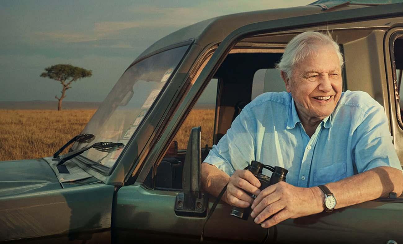 Gezegenin g&ouml;rd&uuml;ğ&uuml; en b&uuml;y&uuml;k doğa el&ccedil;isi: David Attenborough 100 yaşında!