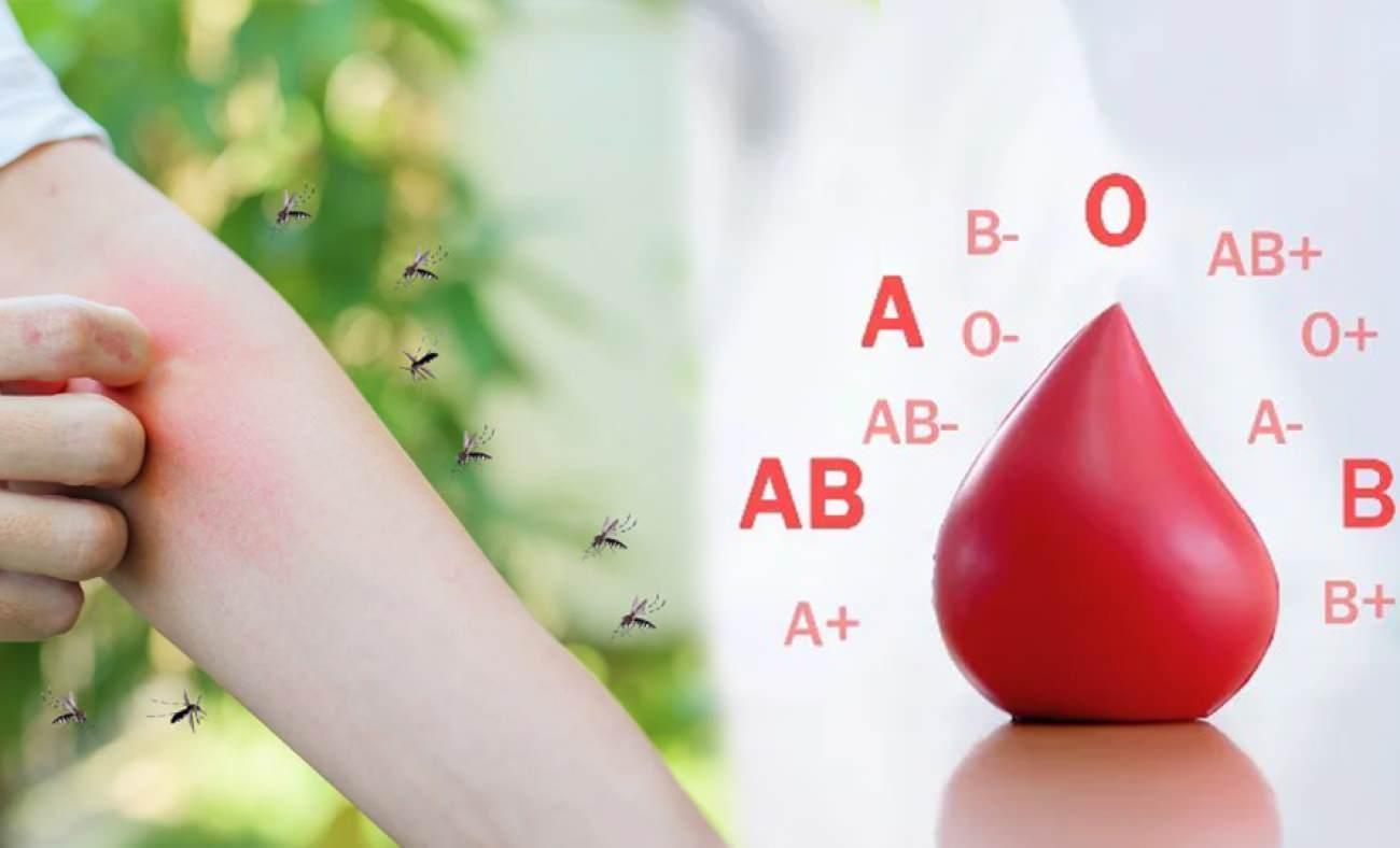 Sivrisinekler en &ccedil;ok bu kan grubunu ısırıyor! Araştırma sonucu şaşırttı