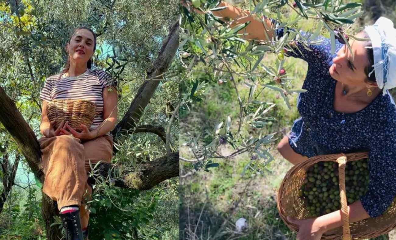 İstanbul'u bırakarak k&ouml;ye yerleşti! Aslıhan G&uuml;rb&uuml;z zeytin hasadına başladı