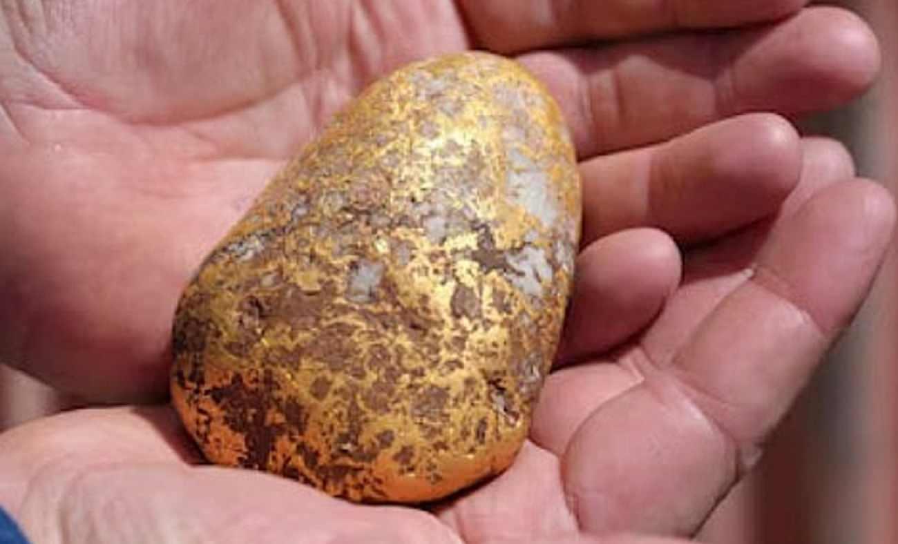 &Ccedil;&uuml;r&uuml;k patates sandı! Topraktan 200 bin dolar &ccedil;ıktı