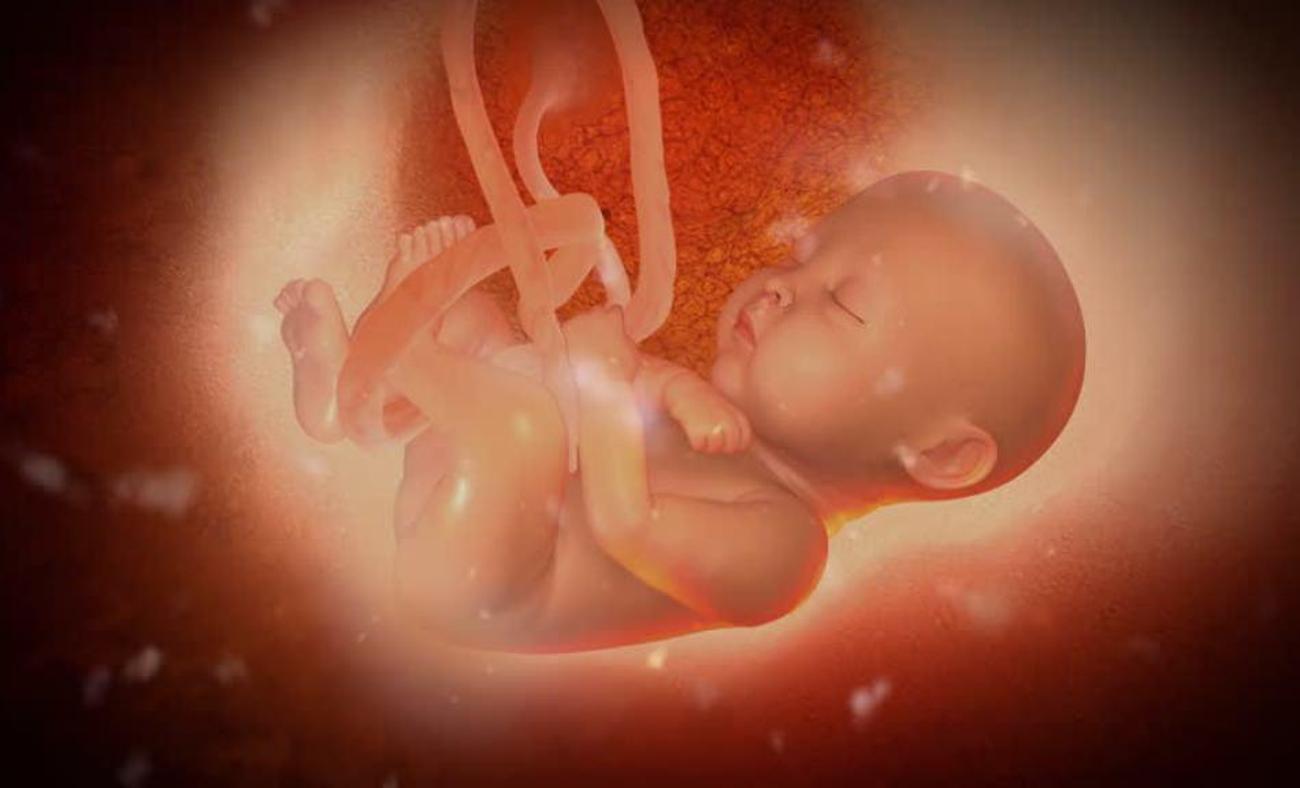 Внутриутробная жизнь ребенка. Младенец в утробе матери.