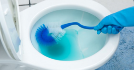 Tuvalet fırçası nasıl temizlenir? 