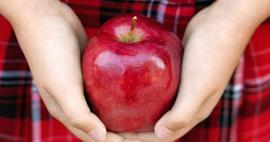Çürük elmalar nasıl değerlendirilir? 