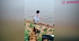 Dereye düşmek üzere olan kızı kurtaran kahraman köpek!