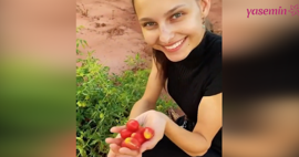 Jessica May tarladan domates topladı!