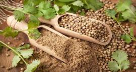 Kişniş tohumunun faydaları nelerdir? Ağız içi yaraları için kişniş yağı işe yarar mı?