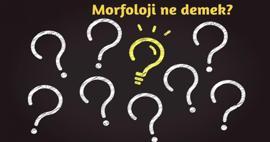 Morfoloji nedir ve neyi inceler? Morfoloji TDK anlamı nedir? Morfoloji hakkında kısaca bilgiler