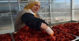 Gaziantep'te kurulan tesis, kadınlara ekmek kapısı oldu