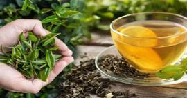 Yeşil çay nasıl saklanır? Yeşil çay ne kadar sürede bozulur?Yeşil çay dolapta kaç gün saklanır?