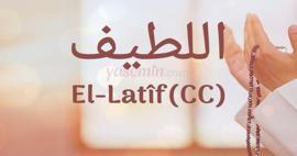 El-Latif (c.c) ne demek? El-Latif isminin faziletleri nelerdir? Esmaül Hüsna El-Latif...