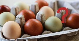 Yumurtaların farklı renkte olmasının sebebi nedir? Beyaz ve kahverengi yumurta arasındaki fark?